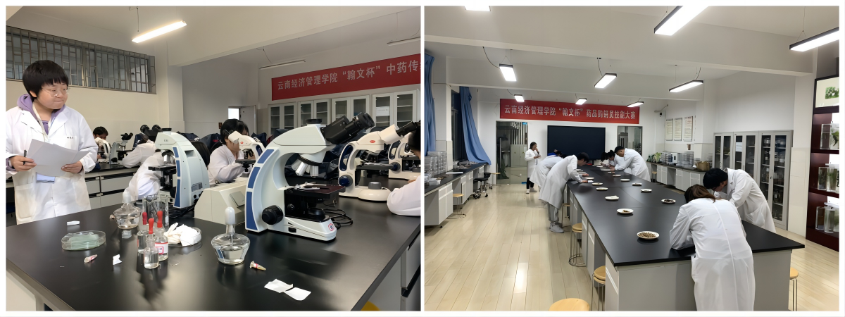 WPS拼图1.png WPS拼图1.png