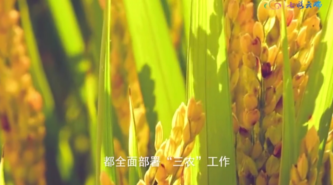 微信图片_20230626171831.png