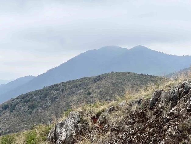 探寻药用植物的奥秘——中药学专业药用植物学课程梁王山中药秘境之行纪实 第 6 张 探寻药用植物的奥秘——中药学专业药用植物学课程梁王山中药秘境之行纪实 第 6 张