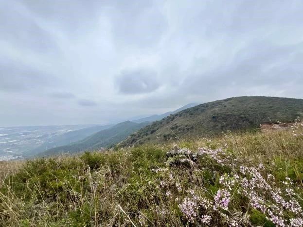 探寻药用植物的奥秘——中药学专业药用植物学课程梁王山中药秘境之行纪实 第 7 张 探寻药用植物的奥秘——中药学专业药用植物学课程梁王山中药秘境之行纪实 第 7 张