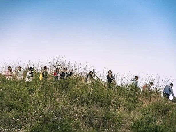 探寻药用植物的奥秘——中药学专业药用植物学课程梁王山中药秘境之行纪实 第 8 张 探寻药用植物的奥秘——中药学专业药用植物学课程梁王山中药秘境之行纪实 第 8 张