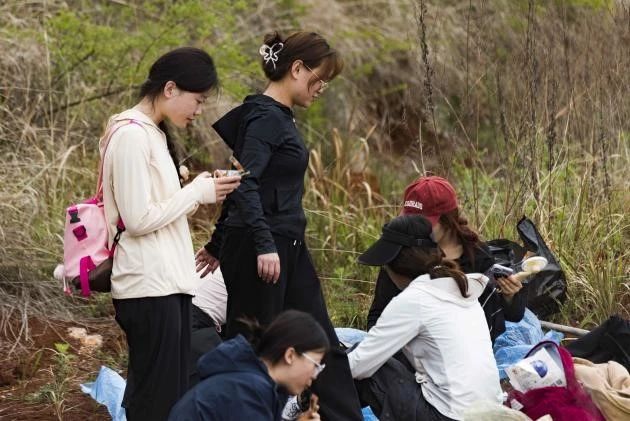 探寻药用植物的奥秘——中药学专业药用植物学课程梁王山中药秘境之行纪实 第 10 张 探寻药用植物的奥秘——中药学专业药用植物学课程梁王山中药秘境之行纪实 第 10 张