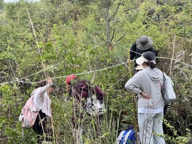 探寻药用植物的奥秘——中药学专业药用植物学课程梁王山中药秘境之行纪实 第 13 张 探寻药用植物的奥秘——中药学专业药用植物学课程梁王山中药秘境之行纪实 第 13 张