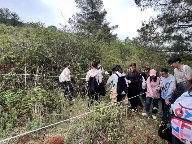 探寻药用植物的奥秘——中药学专业药用植物学课程梁王山中药秘境之行纪实 第 14 张 探寻药用植物的奥秘——中药学专业药用植物学课程梁王山中药秘境之行纪实 第 14 张