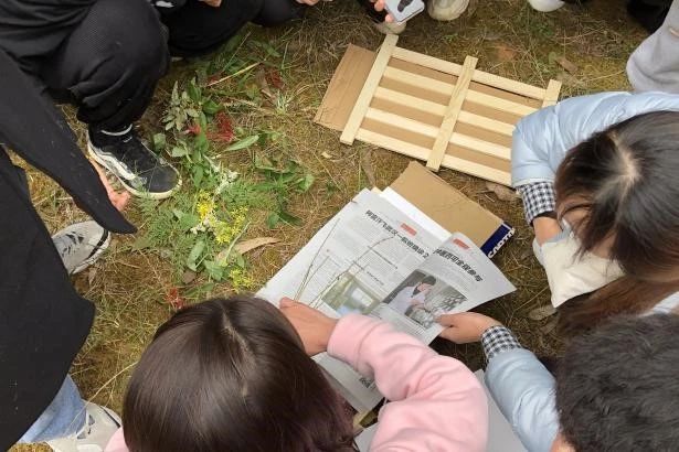 探寻药用植物的奥秘——中药学专业药用植物学课程梁王山中药秘境之行纪实 第 15 张 探寻药用植物的奥秘——中药学专业药用植物学课程梁王山中药秘境之行纪实 第 15 张