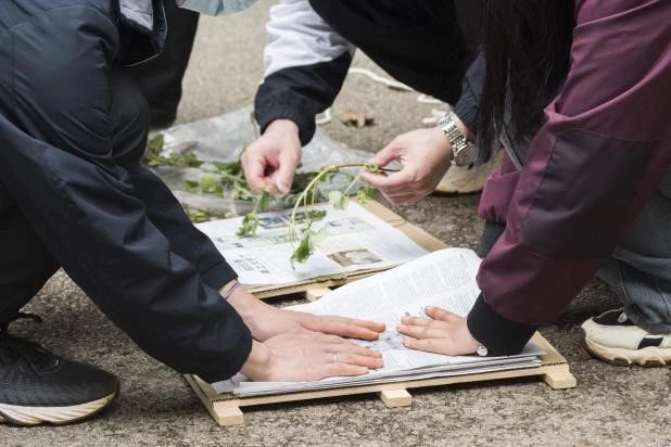 探寻药用植物的奥秘——中药学专业药用植物学课程梁王山中药秘境之行纪实 第 16 张 探寻药用植物的奥秘——中药学专业药用植物学课程梁王山中药秘境之行纪实 第 16 张