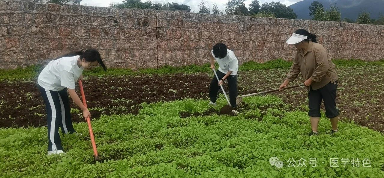 云南经济管理学院“经管纳医行”深入丽江探索雪山神医-纳西土医奥秘 第 9 张