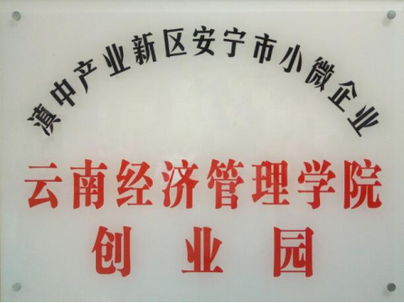 云南经济管理学院在2025年度中国高校众创空间联盟评选中荣获佳绩 第 11 张