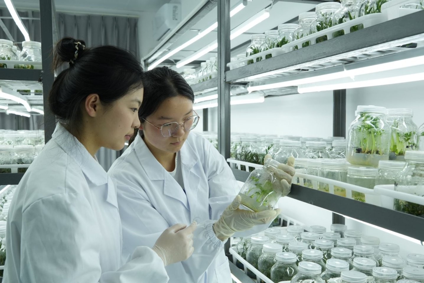 太上头了🤤,这个蘸料经管人研发的! 第 7 张 太上头了🤤,这个蘸料经管人研发的! 第 7 张