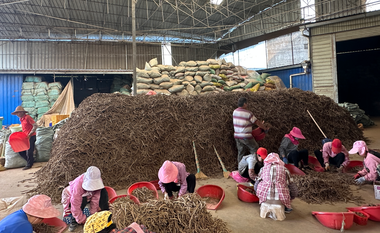 斩获全国银奖，这个团队让侠界奇药照见现实⁉️ 第 1 张