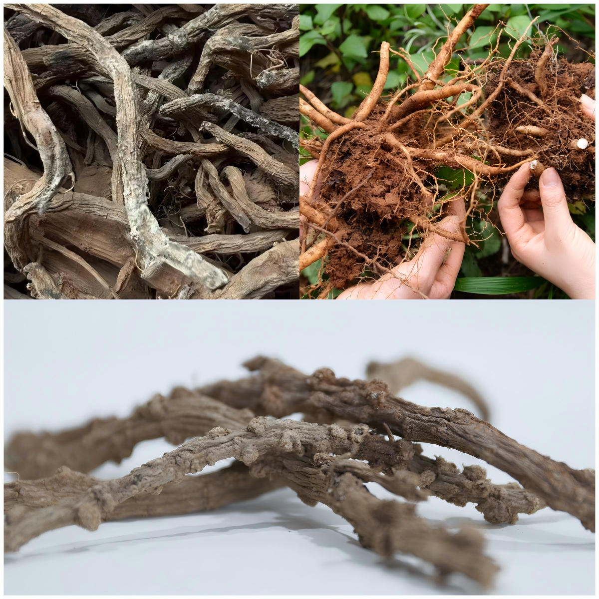 斩获全国银奖，这个团队让侠界奇药照见现实⁉️ 第 2 张