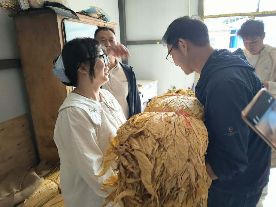 暑期社会实践 | 生物质燃料颗粒+自动化烘烤：烟草加工迈向“零碳”未来 第 9 张