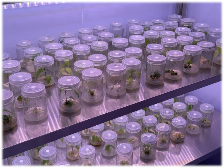 eba0c3e0a290a8fca9d90dce14c22907.png eba0c3e0a290a8fca9d90dce14c22907.png