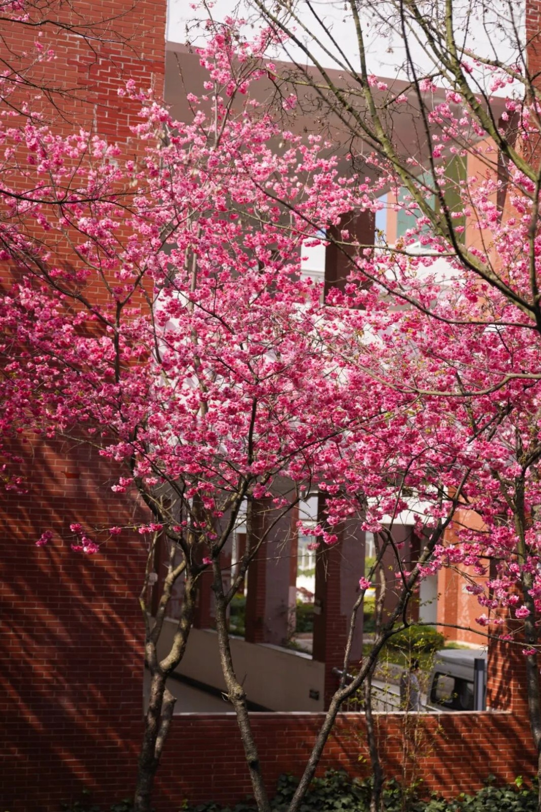 今天,云经管开学第一天! 第 12 张 今天,云经管开学第一天! 第 12 张