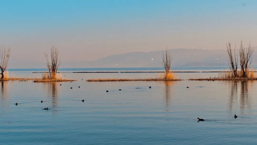 这个学姐很哇塞🤩！ 第 15 张